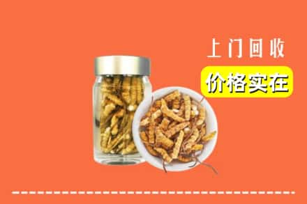 襄阳市宜城回收散虫草