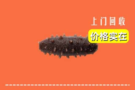 襄阳市宜城回收海参