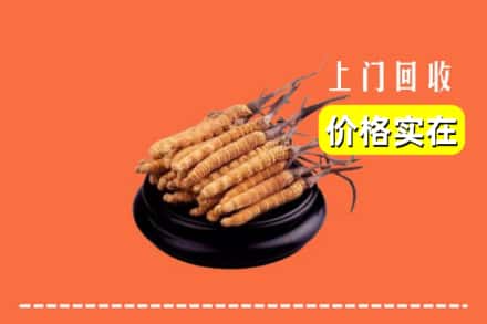 襄阳市宜城回收冬虫夏草